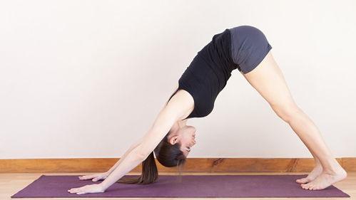 腿推的图片,腿推动作解析