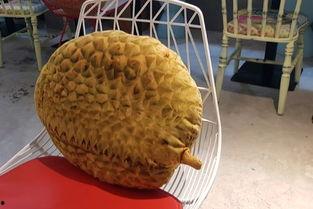 榴莲娱乐在哪,揭秘热门娱乐资讯聚集地